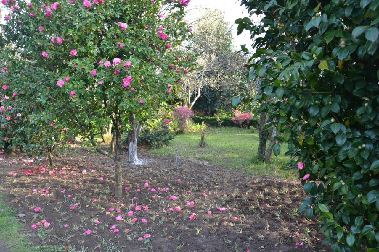 Bed and Breakfast Quinta D'Avo Amelia Alquerubim Exteriér fotografie