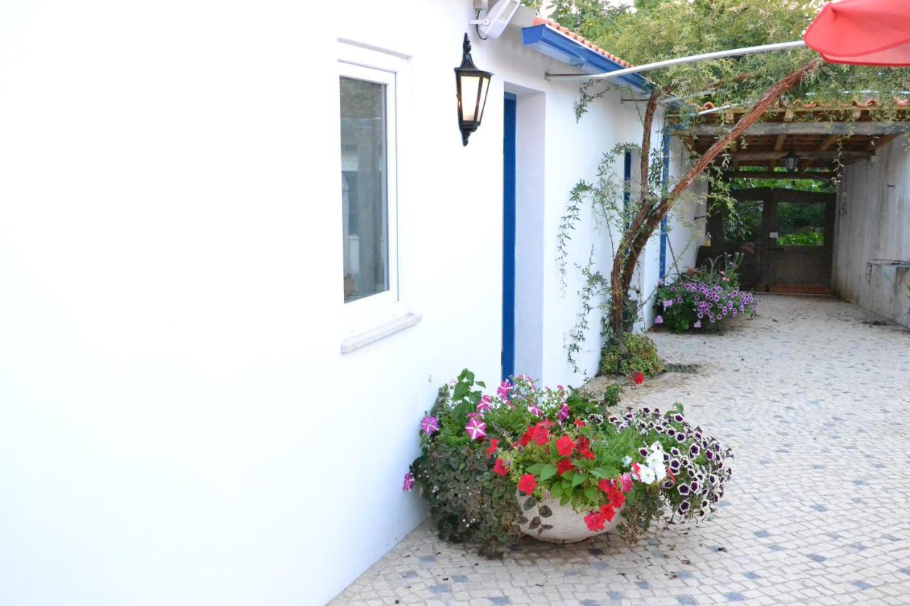 Bed and Breakfast Quinta D'Avo Amelia Alquerubim Exteriér fotografie