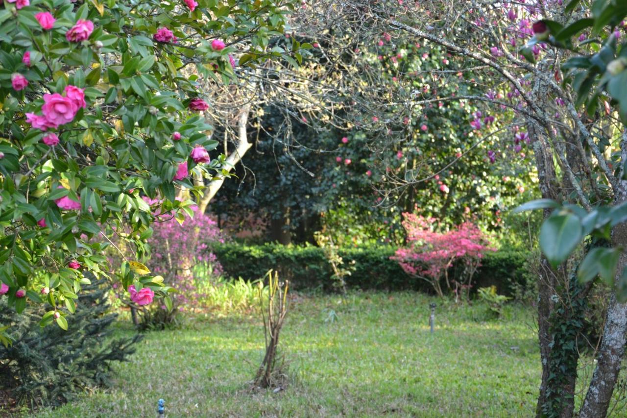 Bed and Breakfast Quinta D'Avo Amelia Alquerubim Exteriér fotografie