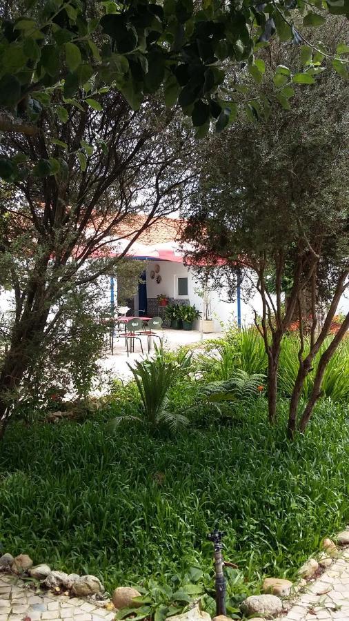 Bed and Breakfast Quinta D'Avo Amelia Alquerubim Exteriér fotografie