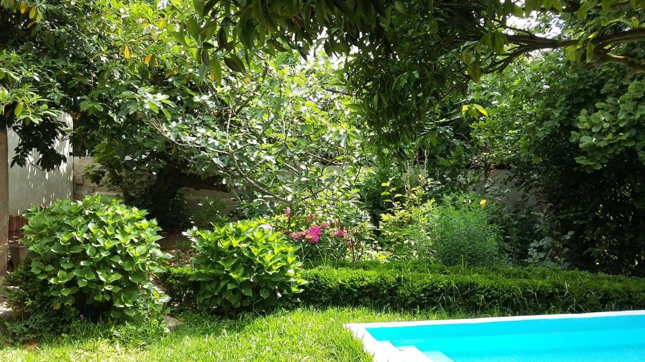 Bed and Breakfast Quinta D'Avo Amelia Alquerubim Exteriér fotografie