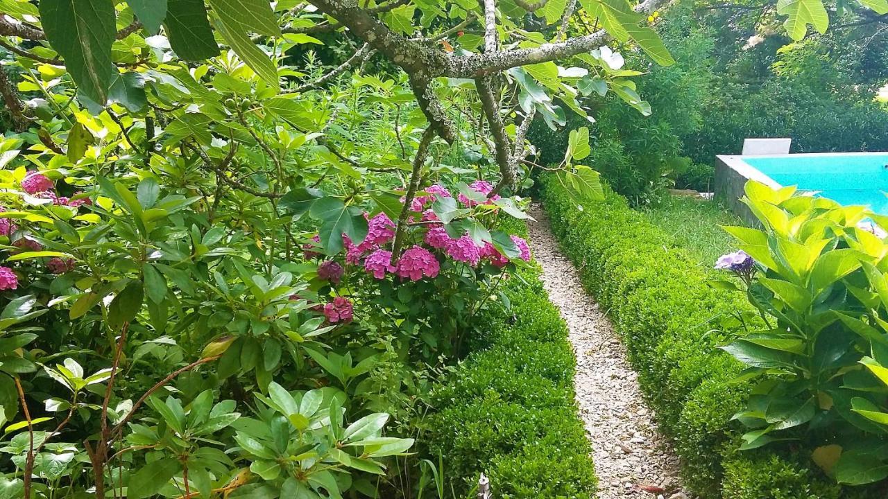Bed and Breakfast Quinta D'Avo Amelia Alquerubim Exteriér fotografie