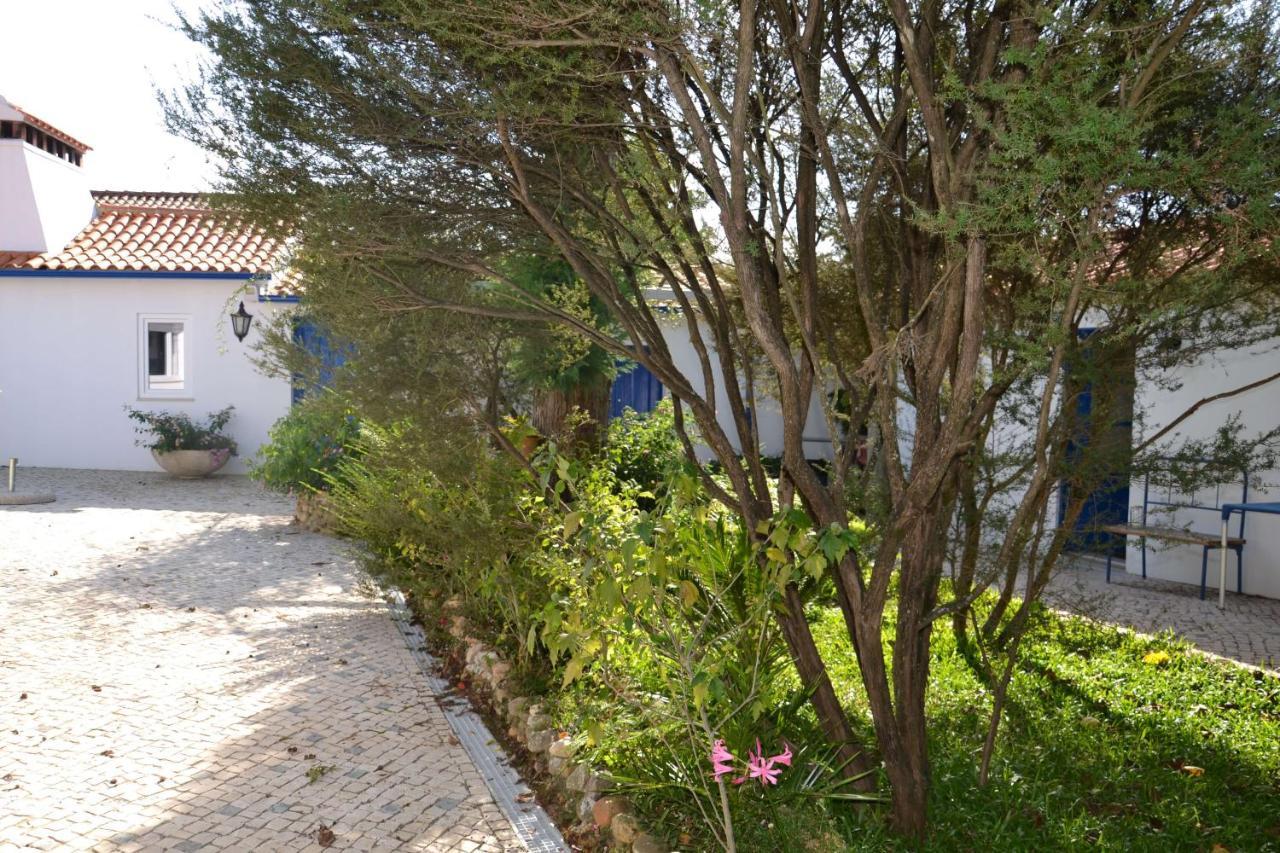 Bed and Breakfast Quinta D'Avo Amelia Alquerubim Exteriér fotografie