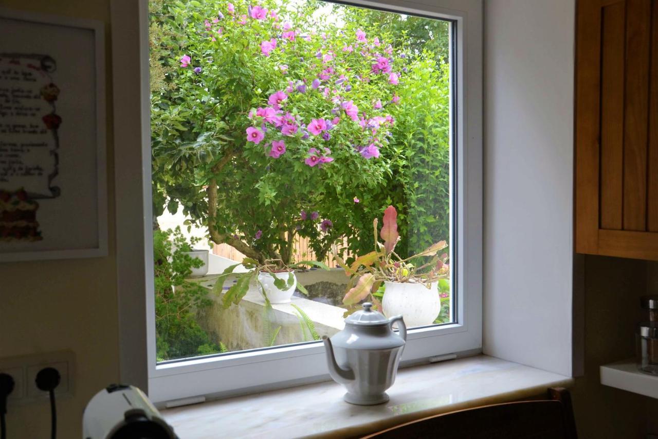 Bed and Breakfast Quinta D'Avo Amelia Alquerubim Exteriér fotografie
